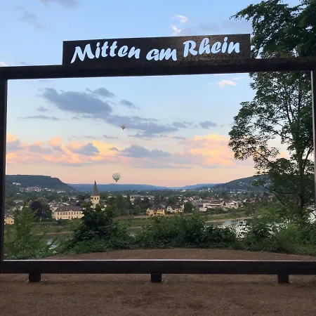 Ringhotel Haus Oberwinter Otel 3*